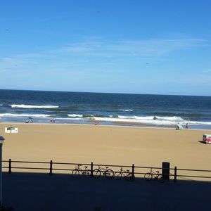 Meet your Posher, Edna